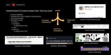 China OSINT Advanced Training, OSINT on China, Chinese OSINT Course, OSINT China Training, OSINT Tip