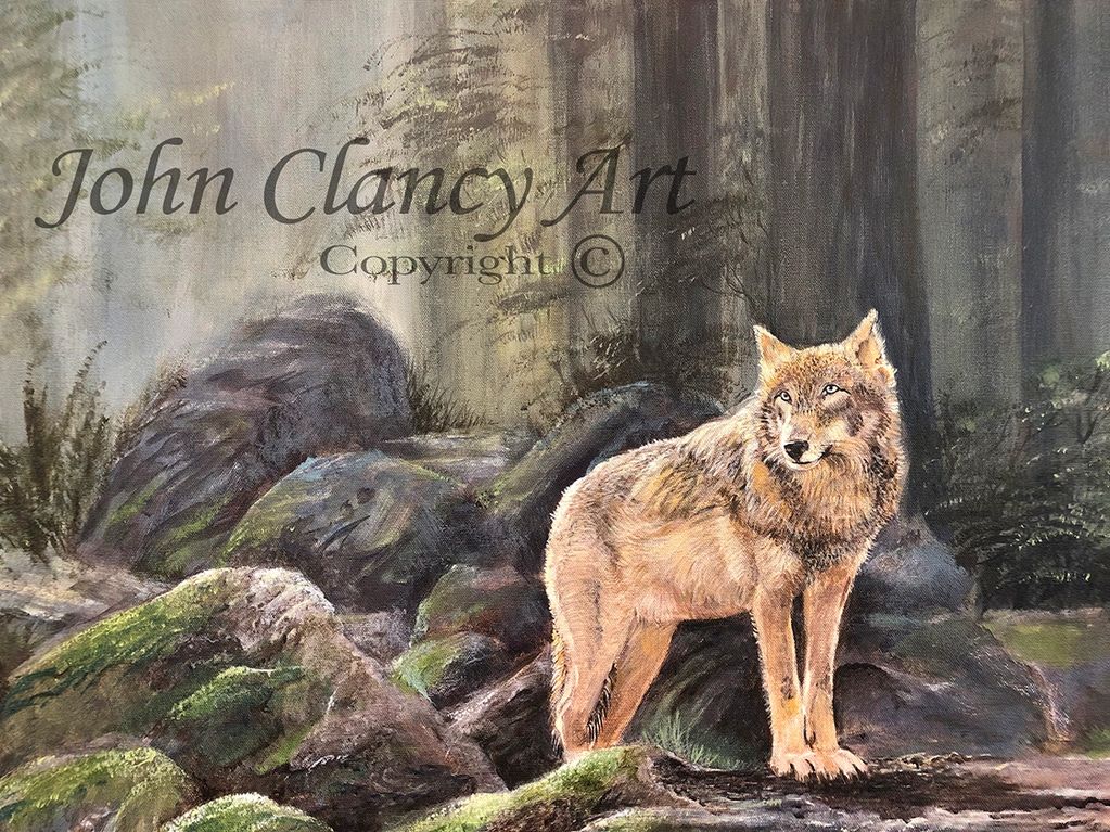 A painting of a wolf by artist John Clancy