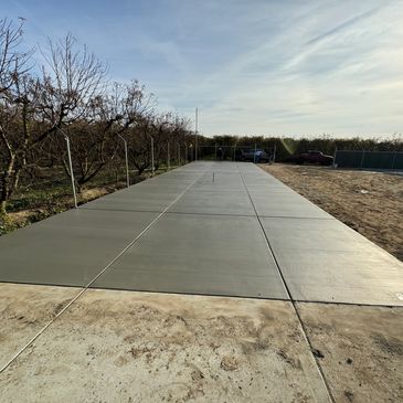 Newly poured concrete slab next to orchard trees under a bright sky.