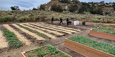 People working in a garden with raised beds and rows of plants.