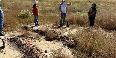 Three people standing near marked excavation sites in a grassy field.