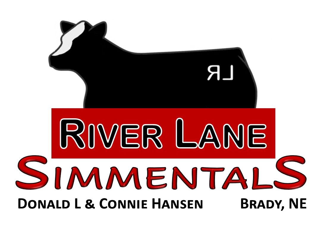 Cattle, Beef for Sale - River Lane Simmentals - Brady, Nebraska