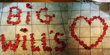 Poppy charity