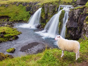 Clean water fresh air and unspoiled nature