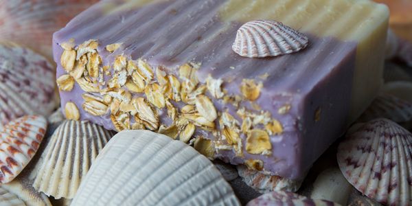 Lavender and oat natural soap bar with sea shell theme.