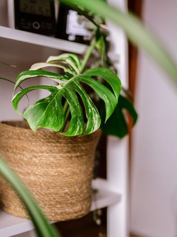 EMDR therapist Chandler Gilbert Tempe Arizona trauma therapy anxiety depression counseling LPC