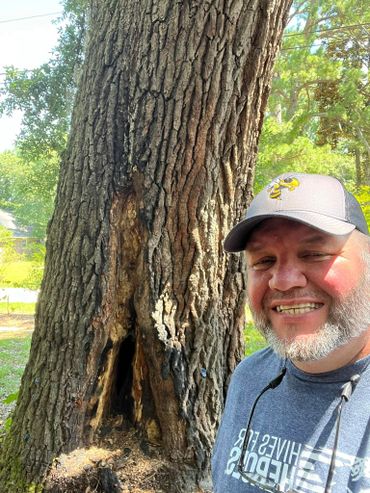 Man smiling next to a large tree with a hollowed-out base in a sunny outdoor setting.