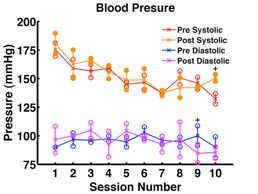 Blood Pressure Case Study Alternative Therapy Relaxation Massage Foot Reflexology