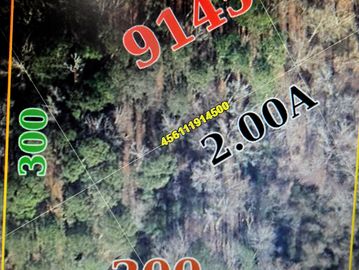 2 acres of wooded land for you to use as you choose.