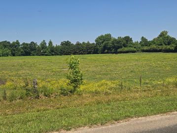A sunny rural field bordered by trees and a road.