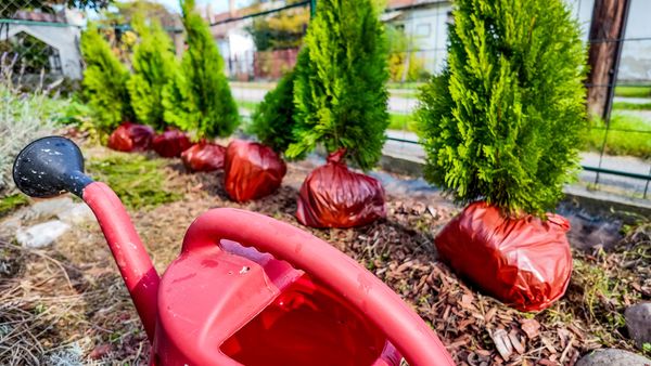 sustainable gardening