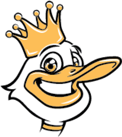 Duct King Favicon