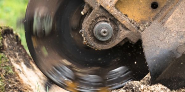 STUMP GRINDER, TREE STUMP GRINDER, STUMP REMOVAL