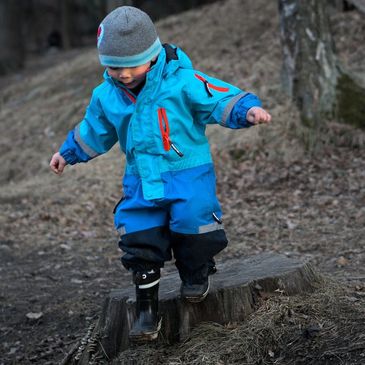 TREE STUMP TRIPPING HAZARD, STUMP REMOVAL, STUMP GRINDING,