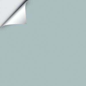 Peel and stick paint color