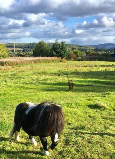Such cuties!!!
Partial to a carrot!