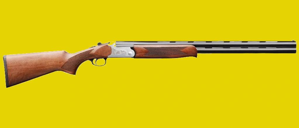 Charles Daly 202 .410 ga. O/U, 26” bbls., walnut, steel receiver, MC3, SKU: 930218