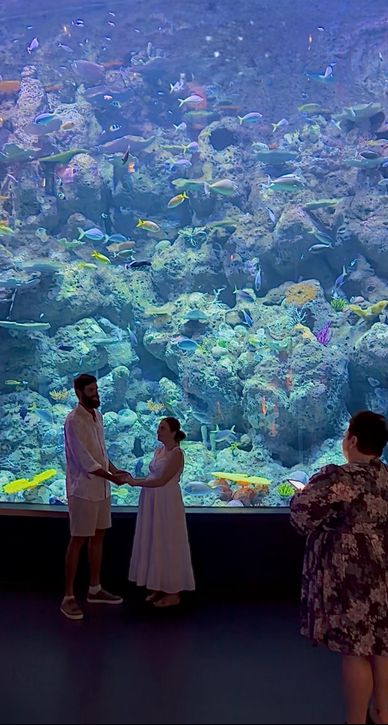 Couple holding hands in front of a large aquarium.