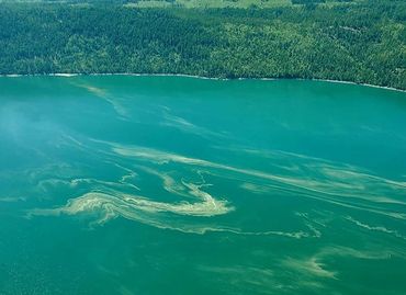 Lake Health Survey BC