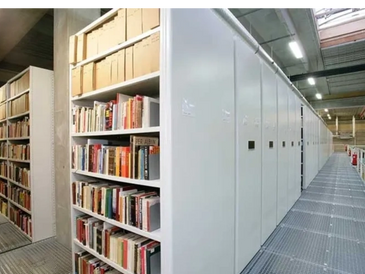 Two Tier Powered Mobile Shelving System