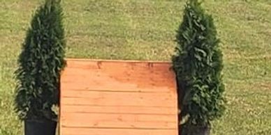 A wooden ramp placed between two potted evergreen shrubs on grass.