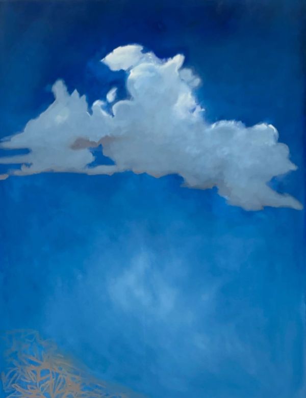 What is happening Shabib?
Lucy Gow