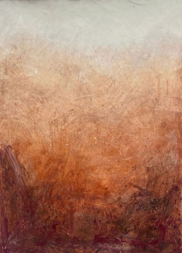 What Is Happening Shabib
Lucy Gow