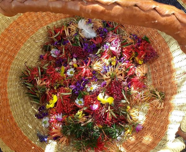 native floral harvest wildcrafted from our Eden coastal forests