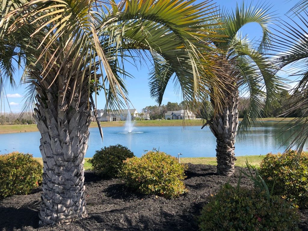 Palmetto Harbor HOA Waterway North Myrtle Beach, South Carolina