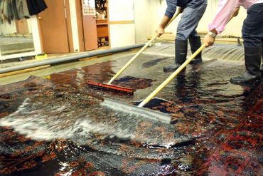 Rug cleaning