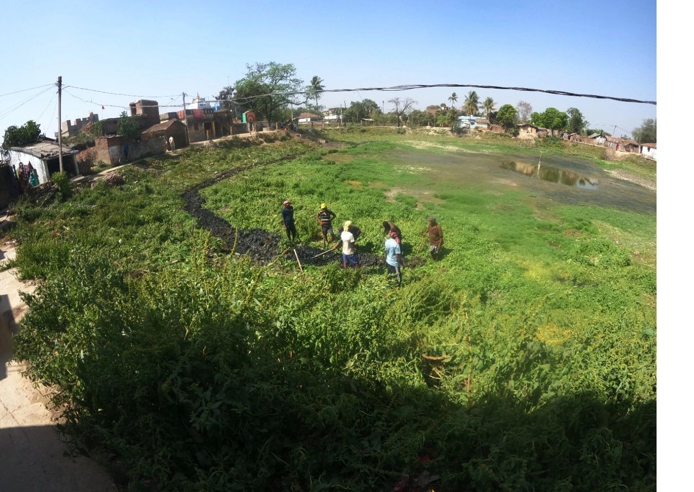 Community members working at the pond in Darbhanga, Bihar