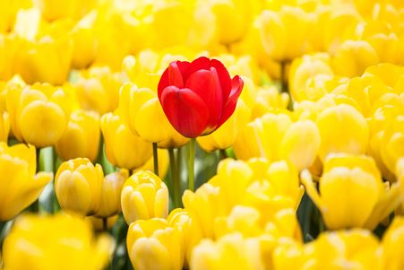 Stand Out From The Crowd Let Cindy Mardenfeld and Infinity Relations help build your brands success