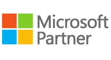 Microsoft Partner Logo
