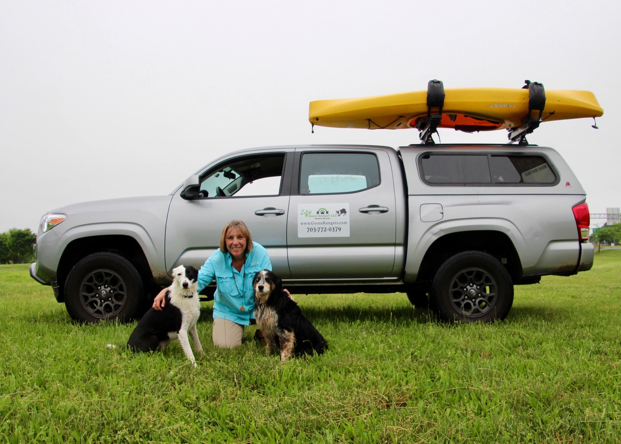 Goose Rangers located in Northern Virginia offers goose control using trained border collies.
