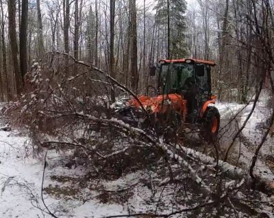 Tractor clearing fallen tree in snowy forest.