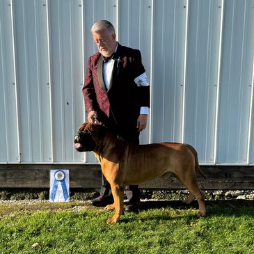 Best of Winners (Monroe, Michigan, September 2025)
