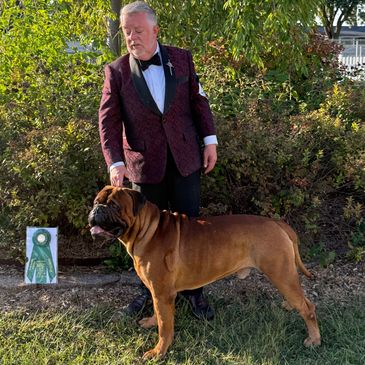 BOB Owner/Handler, Group 3rd
Monroe, MI September 2025
