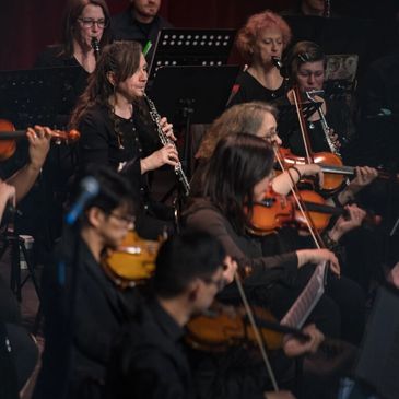 Orchestra musicians playing string and woodwind instruments.