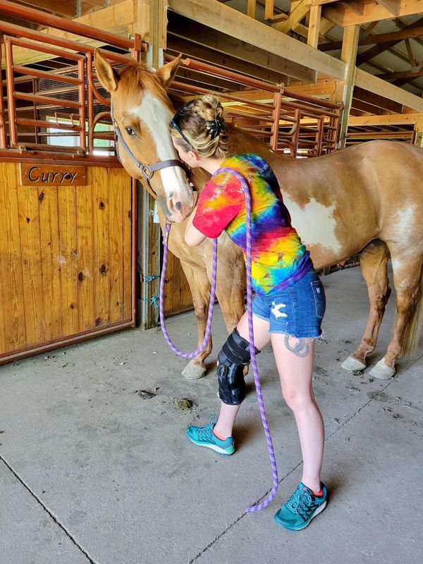 Equine Massage