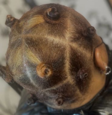 Top view of a head with neatly sectioned hair styled into small bantu knots.