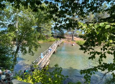 People walking on a wooden bridge over clear water surrounded by green trees.