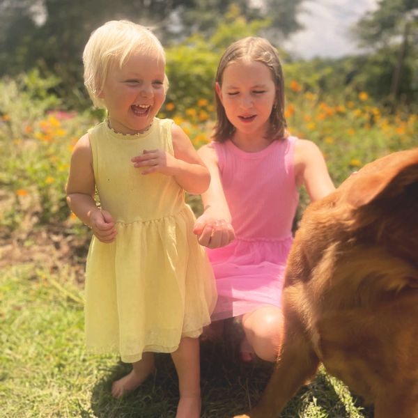 little girl wearing yellow dress smiles at golden retriever. older girl in pink dress holding treat
