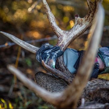 Close‑up of gloved hands holding deer antlers on the ground