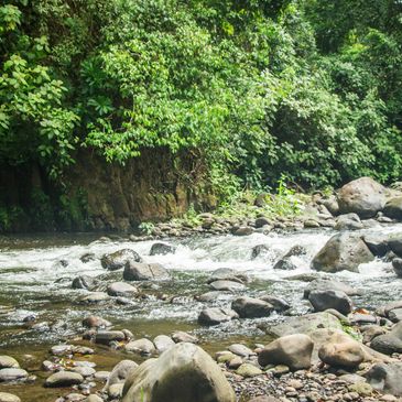 Nature
Connection
Emotions
Energy
Flow
Love
Gifts
Mother Earth
Frequency
Light