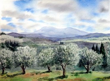 Watercolour of an olive grove
