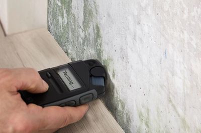 Electronic mold tester