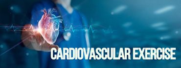 Cardiovascular excercise