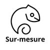 Un caméléon pour représenter l'adaptabilité des services d'Impact Carbone