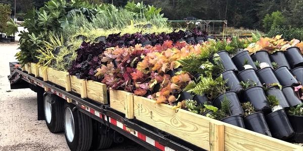 Flatbed truck loaded with various plants.