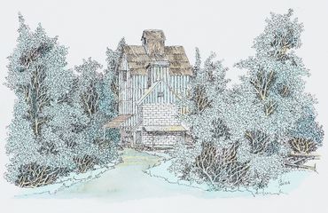 Ink Drawing With Water Colour 15